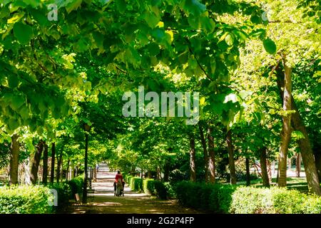 Menschen, die im Frühling einen der Wanderwege entlang gehen. Der Buen Retiro Park - Parque del Buen Retiro, wörtlich "Park des angenehmen Rückzugs", Retiro Pa Stockfoto