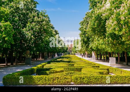 Paseo de Argentina, auch Avenue of the Statues genannt - Paseo de las Estatuas, benannt nach den Skulpturen der Könige, die ihn flankieren. Parque del Buen Retiro Stockfoto