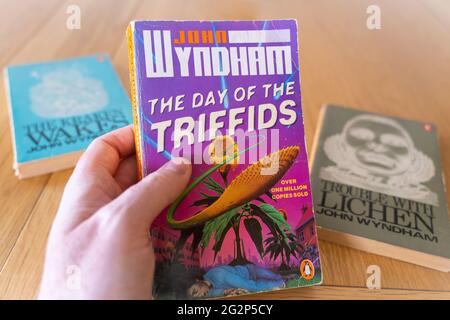 Eine Männerhand mit einem Taschenbuch des Tages der Triffids, einem post-apokalyptischen Roman des englischen Science-Fiction-Autors John Wyndham aus dem Jahr 1951 Stockfoto