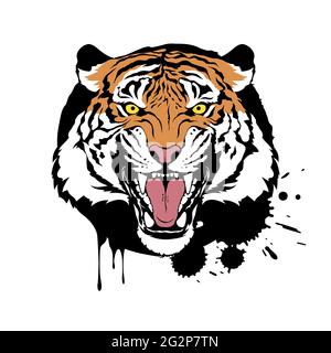 Brüllender Kopf des Tigers. Farbenfrohe Vektorgrafik auf weißem Hintergrund. Aufdruck im T-Shirt-Design. Stock Vektor