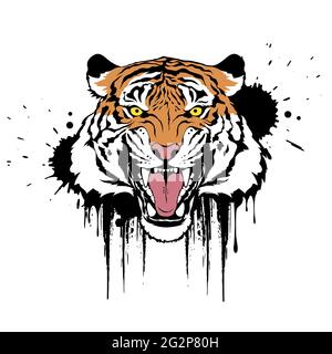 Brüllender Tiger. Krallen kratzen. Farbenfrohe Vektorgrafik auf weißem Hintergrund. T-Shirt-Design. Stock Vektor