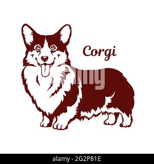 Welsh Corgi Cardigan Hund. Vektorgrafik auf weißem Hintergrund. Stock Vektor