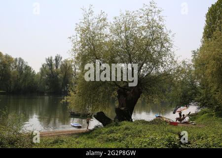 Die Familie mit dem Kanu ruht auf einem Ufer einer Rheinwiese in der Nähe einer Weide Stockfoto