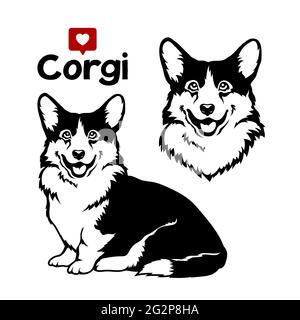 Welsh Corgi Cardigan Hund. Vektorgrafik auf weißem Hintergrund. Stock Vektor