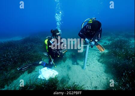 Blue Carbon Sampling auf Neptune Grass, Posidonia oceanica, Wiesen, Gokova Bay Marine Protected Area, Marmaris Turkey. Stockfoto