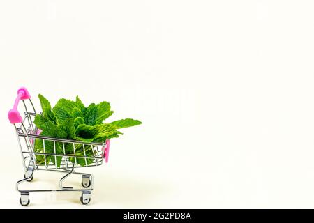 Frische grüne Minzblätter im Warenkorb mit Platz für Text auf hellem Hintergrund. Stockfoto