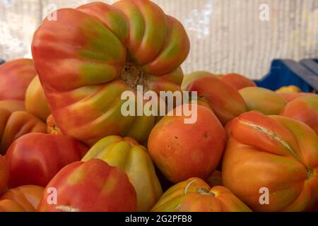 Nahaufnahme von corazon de buey Tomatoes, Lycopersicon esculentum, mit einer nicht erkennbaren Person im Hintergrund, die eine Gesichtsmaske trägt. Typische Tomaten f Stockfoto