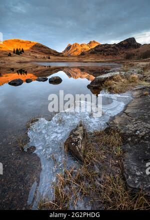 Wunderschöner Wintermorgen am Blea Tarn im englischen Lake District mit goldenem Licht auf den Bergen und perfekten Reflexen im Wasser. Stockfoto