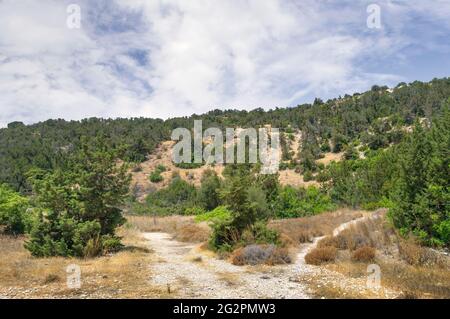 Der Wanderweg ist von dichter Vegetation und steilen Klippen in der Avakas-Schlucht umgeben. Akamas-Halbinsel, Zypern. Stockfoto