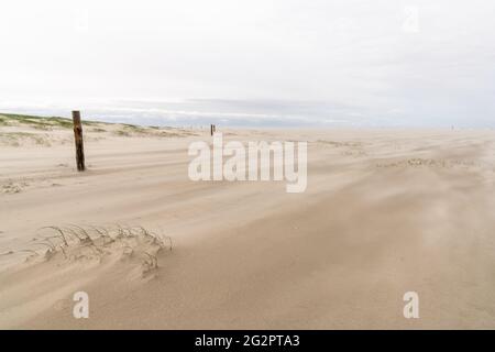 Schöner idyllischer Strand mit Gräsern und Holzpfosten und starkem Wind, der Sand entlang schwirzt Stockfoto