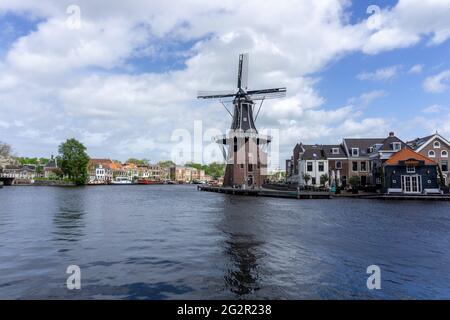 Haarlem, Niederlande - 21. Mai 2021: Blick auf die Windmühle Dee Adrian und den Fluss Binnen Spaarne in Haarlem Stockfoto