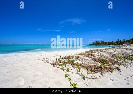 Strandspaziergang in Nosy Iranja Stockfoto