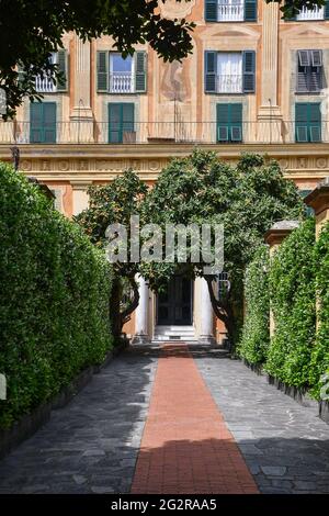 Innenhof und Eingang eines alten Palastes mit Jasminhecken und Medlar-Bäumen im Zentrum von Genua, Ligurien, Italien Stockfoto