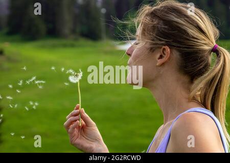 Eine Frau wird gesehen, wie sie die Samen von einer Dandelionenblume bläst. Stockfoto