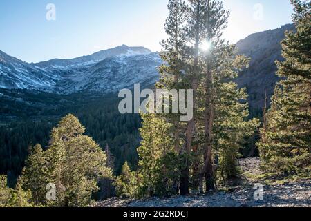 Der Tioga Pass befindet sich außerhalb des östlichen Tores des Yosemite National Park und der State Highway befindet sich auf der höchsten Erhebung in Kalifornien. Stockfoto