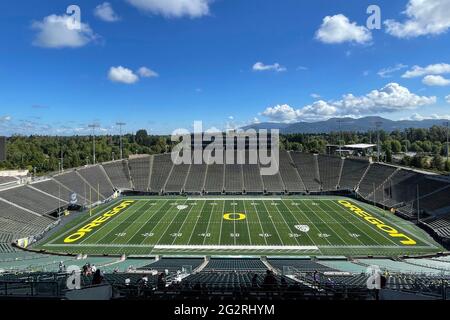 Eine allgemeine Ansicht des Oregon Ducks-Logos im Mittelfeld im Autzen Stadium auf dem Campus der University of Oregon, Mittwoch, den 9. Juni 2021, in Eugene, Ore. Stockfoto