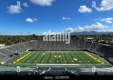 Eine allgemeine Ansicht des Oregon Ducks-Logos im Mittelfeld im Autzen Stadium auf dem Campus der University of Oregon, Mittwoch, den 9. Juni 2021, in Eugene, Ore. Stockfoto