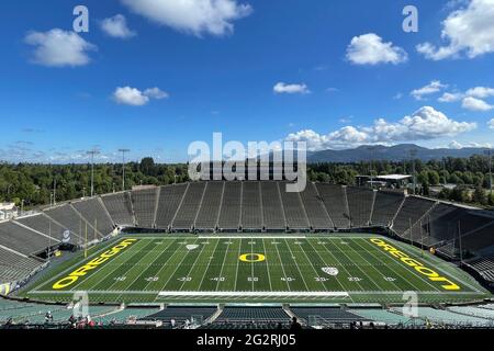 Eine allgemeine Ansicht des Oregon Ducks-Logos im Mittelfeld im Autzen Stadium auf dem Campus der University of Oregon, Mittwoch, den 9. Juni 2021, in Eugene, Ore. Stockfoto