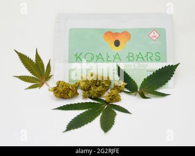 Marihuanablätter, Knospen, essbares medizinisches Marihuana Stockfoto