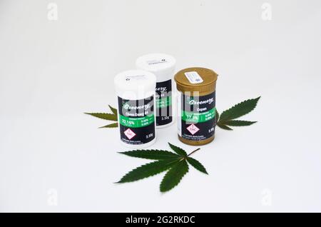 Marihuanablätter, Knospen, essbares medizinisches Marihuana Stockfoto