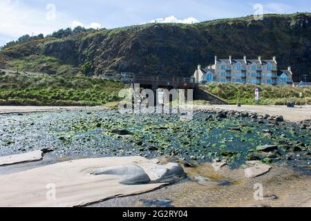 Auch bergab Benone Strand, Strand, einen großen Sand strand in Castlerock, County Derry, Nordirland genannt Stockfoto