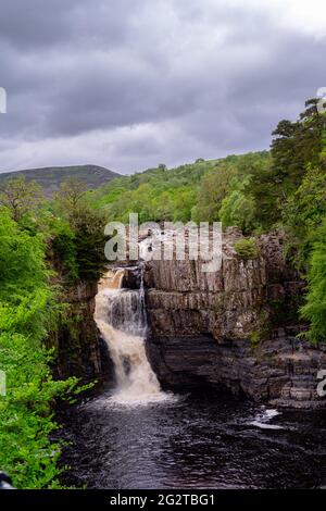 Schöner High Force Wasserfall in Upper Teesdale, County Durham, England im Frühling Stockfoto