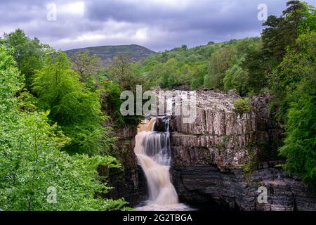 Schöner High Force Wasserfall in Upper Teesdale, County Durham, England im Frühling Stockfoto