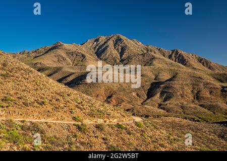 Sierra Parda (Little Chinati Peak), Chinati Mountains, Future State Park, Pinto Canyon Road, Big Bend Country, Texas, USA Stockfoto