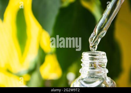 Serum tropft aus dem Reagenzglas. Salbe für das Gesicht. Anti-Falten-Creme. Nahaufnahme ablegen. Stockfoto