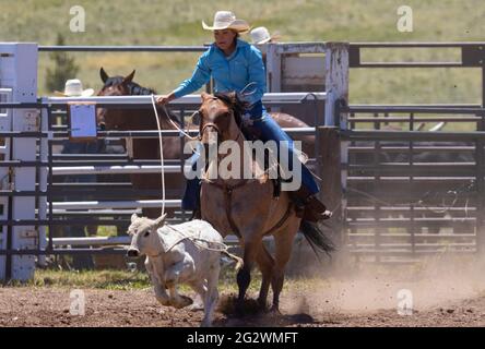 Rodeo-Veranstaltungen vom Top of the World Rodeo 2021, Elevation 9600 feet, Cripple Creek Colorado Stockfoto