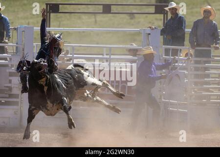 Rodeo-Veranstaltungen vom Top of the World Rodeo 2021, Elevation 9600 feet, Cripple Creek Colorado Stockfoto