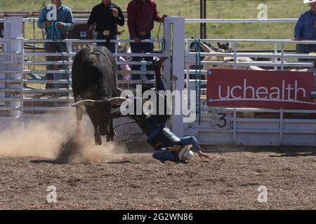 Rodeo-Veranstaltungen vom Top of the World Rodeo 2021, Elevation 9600 feet, Cripple Creek Colorado Stockfoto