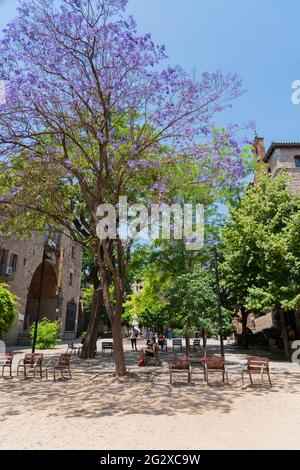 BARCELONA, SPANIEN - 10. JUNI 2019: Lila blühende Bäume im Zentrum der Stadt Barcelona in Spanien Stockfoto