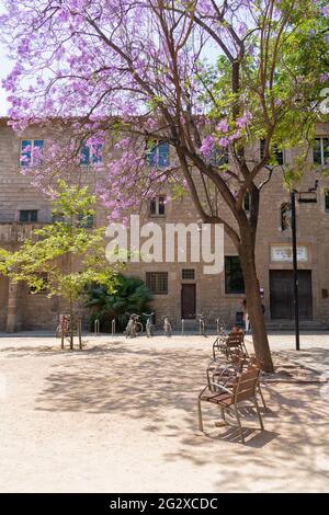 BARCELONA, SPANIEN - 10. JUNI 2019: Lila blühende Bäume im Zentrum der Stadt Barcelona in Spanien Stockfoto