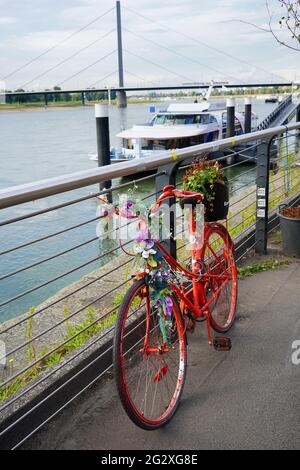 Ein rotes Deko-Fahrrad mit Blumen vor dem Restaurant Kasematten an der Rheinpromenade in Düsseldorf. Stockfoto