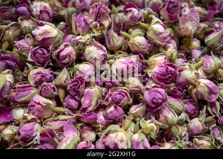 Trockene Rosen Tee Hintergrund getrocknete Rosenblüten Heilkräuter Kräutermedizin. Draufsicht Weichzeichnen von Texturen Weichzeichnen Stockfoto