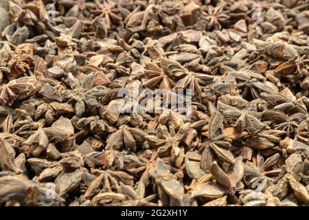 Illicium verum - ein Gewürz, das gemeinhin Sternanis, Sternanis, Sternanissamen, chinesischen Sternanis oder Badian genannt wird. Draufsicht Weichzeichnen von Texturen Weichzeichnen Stockfoto