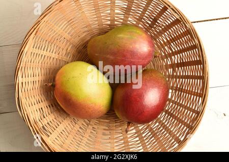 Drei Bio-Mangos in einer Schale aus Weidenreben, Nahaufnahme, Draufsicht. Stockfoto