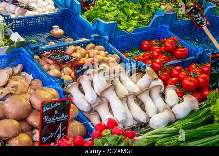 Verschiedene Arten von Pilzen und anderem Gemüse zum Verkauf auf dem Markt Stockfoto