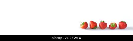 Frische Erdbeeren in einer Reihe auf weißem Hintergrund, Panorama-Food-Mock-up, gute Kopiefläche Stockfoto