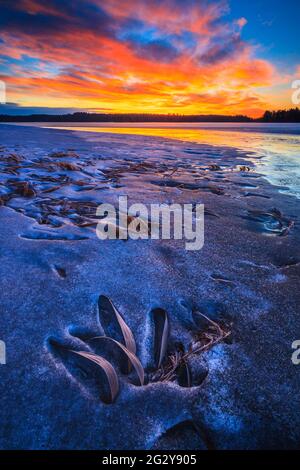 Eisformationen und farbenfroher Winterhimmel bei Sonnenaufgang im See Vansjø in Østfold, Norwegen, Skandinavien. Stockfoto