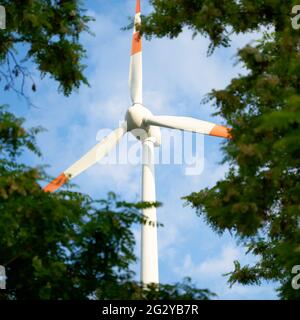 Rotorblätter der Windenergieanlage durch die Lücke zwischen den Bäumen gesehen Stockfoto
