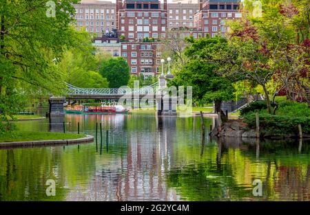 Morgenszene des Boston Public Garden mit Tulpen im Vordergrund und den Schwanenbooten und der Stadt im Hintergrund. Stockfoto