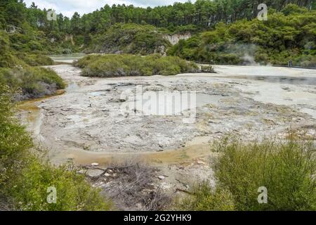 Geothermisches Gebiet namens Waiotapu in Neuseeland Stockfoto