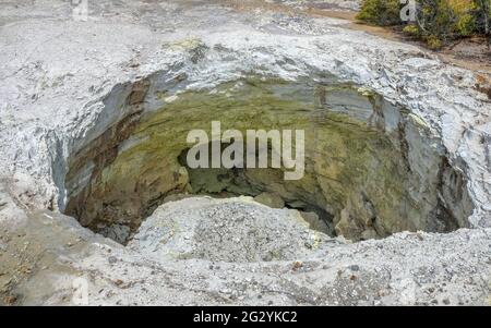 Detail in einem geothermischen Gebiet namens Waiotapu in Neuseeland Stockfoto