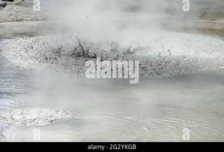 Detail in einem geothermischen Gebiet namens Waiotapu in Neuseeland Stockfoto