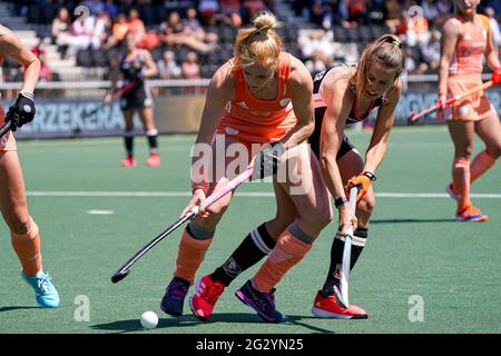 AMSTELVEEN, NIEDERLANDE - 13. JUNI: Margot van Geffen aus den Niederlanden, Anne Schroeder aus Deutschland während des EM-Eishockeyliga-Frauenfinalmatches zwischen den Niederlanden und Deutschland im Wagener Stadion am 13. Juni 2021 in Amstelveen, Niederlande (Foto: Jeroen Meuwsen/Orange Picches) Stockfoto