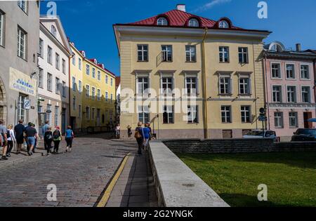 Tallinn, Estland -- 23. Juli 2019. Foto von Touristen auf einem Spaziergang durch Tallinn, Estland. Stockfoto