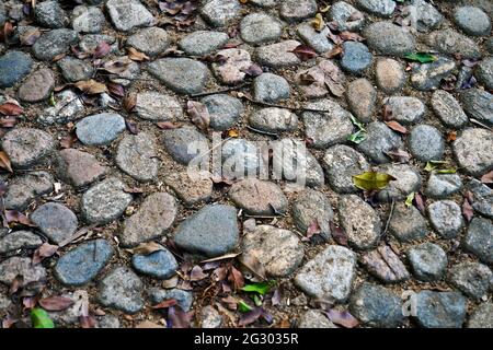 Steinboden im Park Stockfoto