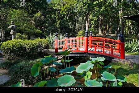 Rote Brücke über japanischen Garten, Rio de Janeiro, Brasilien Stockfoto